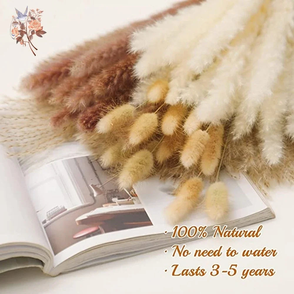 Valmere pampas bouquet product detail