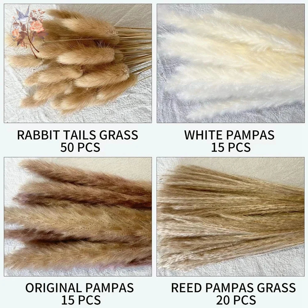 Valmere pampas bouquet product detail