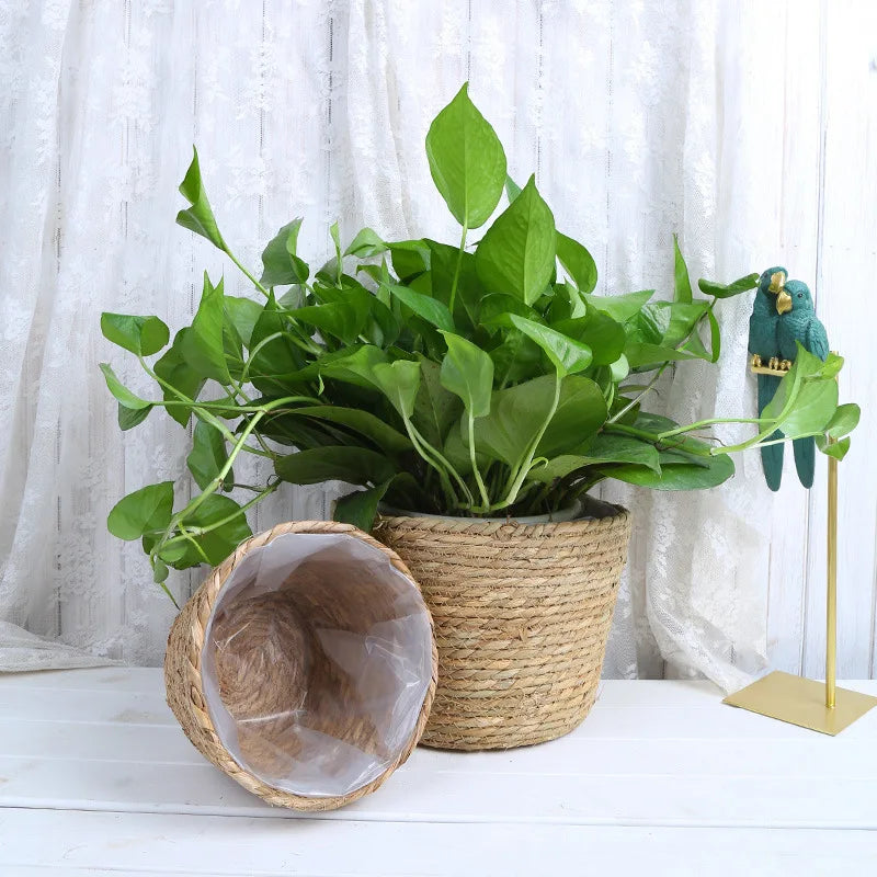 Valmere seagrass basket product detail