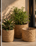 Valmere woven seagrass plant baskets styled with indoor greenery